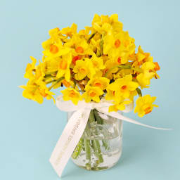 Jumping Jonquils