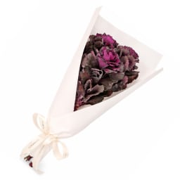 Purple Kale Market Bunch