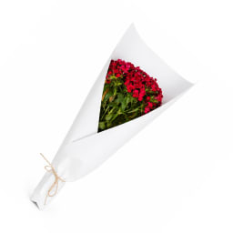 Market Bunch   Sweet William Hot Pink
