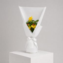 Daily Bouquet - Sunny stems with citrus warmth