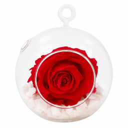 Hot Pink Rose Orb
