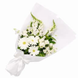 Posh Pet Friendly Flower Bouquet