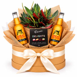 🌿🍺 Peperomia Rosso, Beer & Chocolate Plant Hamper 🍫🌿