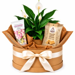 🌿🤍 Peaceful Treats & Pampering Plant Hamper 🤍🌿