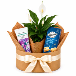 🌿🤍 Peace Lily & Vanilla Bliss Hamper 🤍🌿