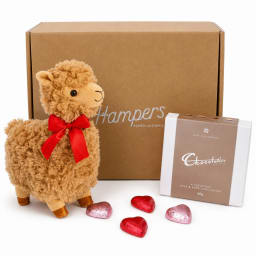 🦙🍫 Llama Love Gift Hamper 🍫🦙
