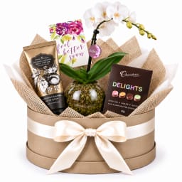 🤍🌸 Feel Better Blooms & Little Luxuries Plant Hamper 🌸🤍
