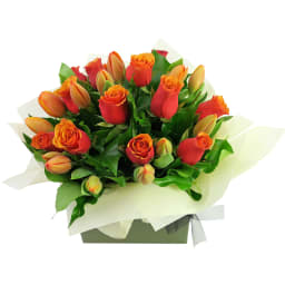 Roses And Tulips