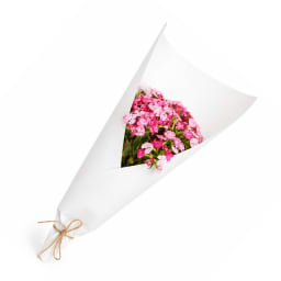 Market Bunch Soft Pink Sweet William