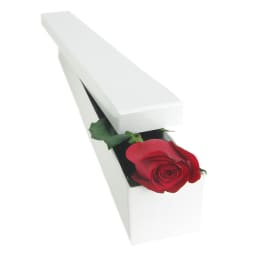 Single Elegant Rose Box