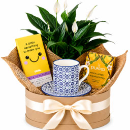 ☕🌿 Tea & Tranquillity Plant Hamper 🌿☕.
