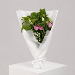 Daily Bouquet - Pink lisianthus and green sparkle