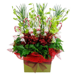 Christmas Treat Posy Box