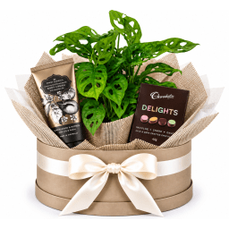 🌿✨ Monkey Mask & Little Luxuries Hamper ✨🌿
