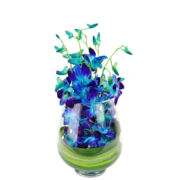 Blue Elegant Orchid Vase Arrangement