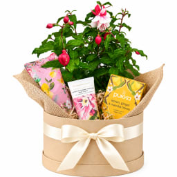 🌸💗 Fuchsia Bliss Hamper 💗🌸