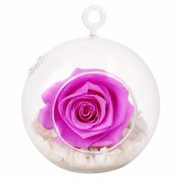 Baby Lily Rose Orb