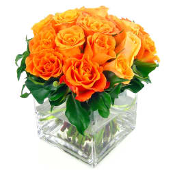Orange Rose Vase