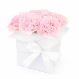 Little Carnation Flower Box   Pink