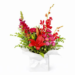 Ruby Elegance Bloom Box