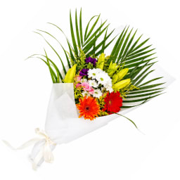 Tropical Sunshine Blooms