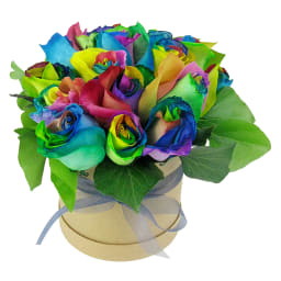 So Fancy Rainbow Roses