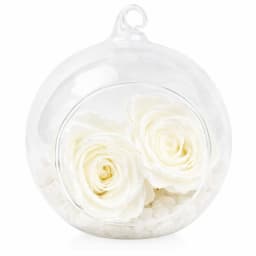 Preserved White Rose Orb