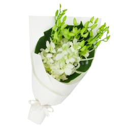 White Orchid Bunch