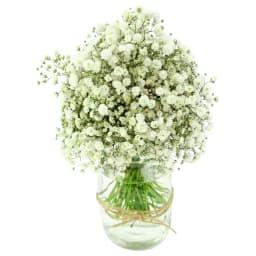 Snowfall White Mason Jar Vase