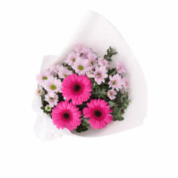 Pink Pop Posy