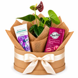 ❤️🌿 Heartfelt Blooms & Bliss Plant Hamper 🌿❤️