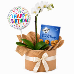 🎈🤍 Birthday Blooms & Bikkie Bites 🤍🎈