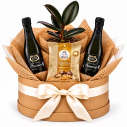 🌿🥂 Burgundy Bubbles & Sweet Delights Plant Hamper 🥜✨