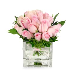 Pink Rose Vase