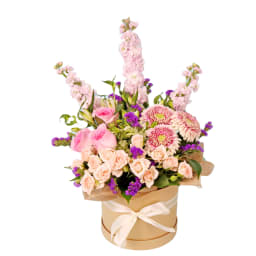 Pet Safe Petals Hat Box