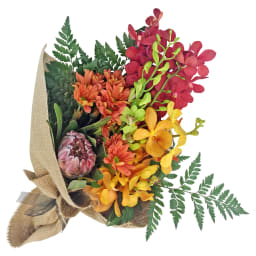 Let’s Run Away Together