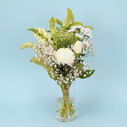 Enigmatic Beauty Vase