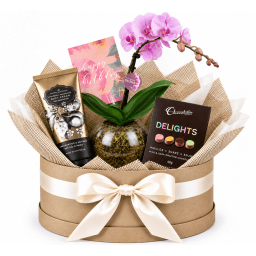 🌸🎂 Birthday Orchid & Little Luxuries Hamper 🎂🌸