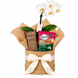 🤍🌿 Orchid & Sweet Treats Plant Hamper 🌿🤍
