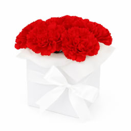 Little Flower Box   Red