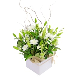 Botanique White Flower Box