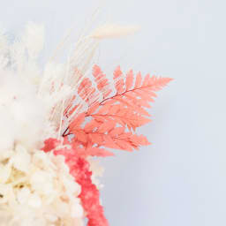 Dried Surprise Bouquet