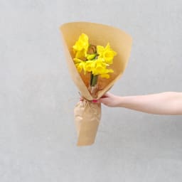 Daffodils Market Bunch