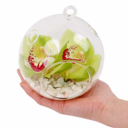 Green Orchid Orb