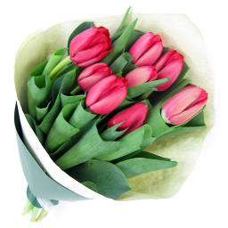 Red Tulip Bunch