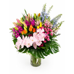 Floral Spectacle