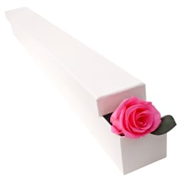 Preserved Pink Rose Stem