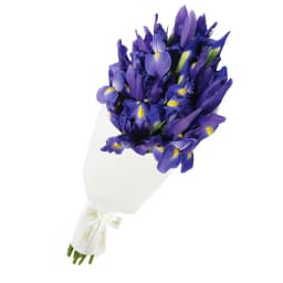 Blue Iris Flower Bouquet