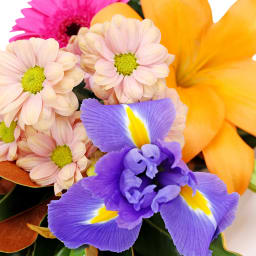 Vibrant Blossoms Bright Flower Bouquet