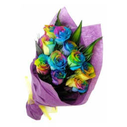 12 Rainbow Roses